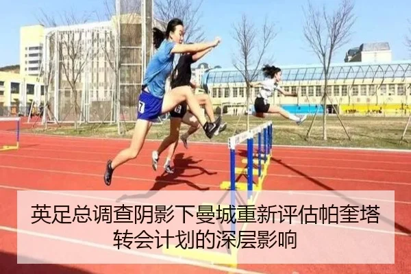 img_1781624078531_30_1_782.jpg